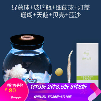 精致玻璃擺件，讓你的家煥然一新