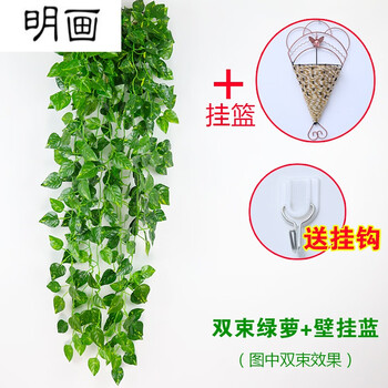 精美花瓶，讓你的家更藝術(shù)