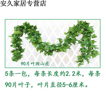 精致花瓶，讓你的生活更清新