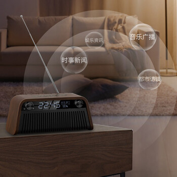 伊酷爾（IFKOO） Q2 音箱/音響 棕木紋