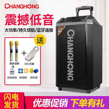 長(zhǎng)虹（CHANGHONG）  音箱/音響 升級(jí)版（10吋音響+送一對(duì)無(wú)線麥克風(fēng)）
