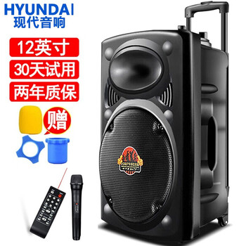 客廳K歌音箱