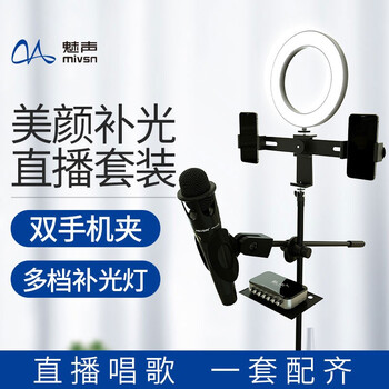 魅聲 T6-E300 手持 麥克風(fēng) 黑色（帶落地支架）