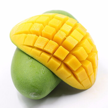 ӭʽââ