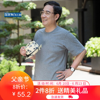 雷迪倫（leidilun） 短袖 男士T恤 深花灰 