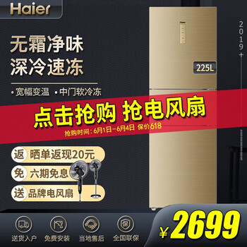 海爾冰箱225wdgk
