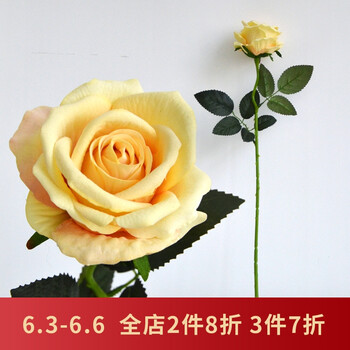 歐式花瓶花插