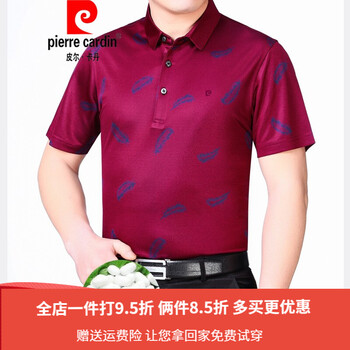 皮爾卡丹（pierrecardin） 短袖 男士T恤 紫紅色 