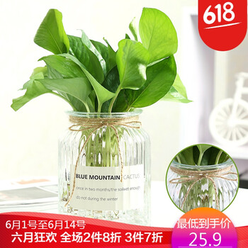 歐式玻璃花瓶，讓你的家更簡單