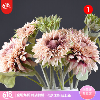 創(chuàng)意玻璃花瓶，打造藝術(shù)之家