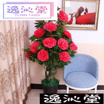 歐式花瓶，打造精致田園風(fēng)