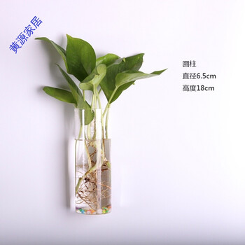 生態(tài)花瓶，打造精致之家