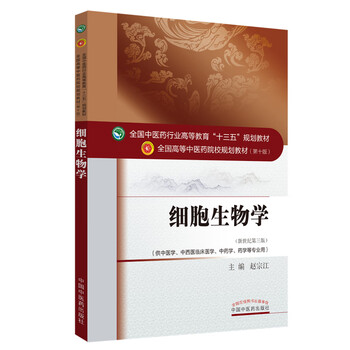 十三五
