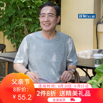 雷迪倫（leidilun） 短袖 男士T恤 花灰 