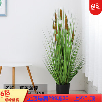 精美田園風(fēng)花瓶，讓家不再單調(diào)！