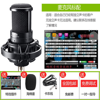 得勝（TAKSTAR）  懸掛式 麥克風(fēng) 標(biāo)配送禮