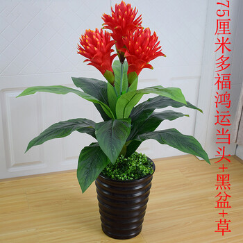 歐式花瓶，讓你愛(ài)上浪漫生活