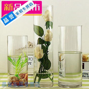 精美生態(tài)花瓶，讓你的家煥然一新