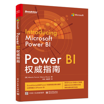 power bi權(quán)威指南
