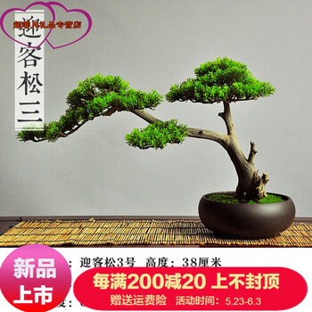 中式擺件，營造精致生活