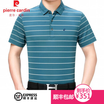 皮爾卡丹（pierrecardin） 短袖 男士T恤 193080-杉綠 