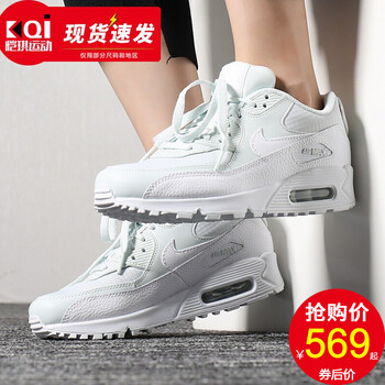 耐克（NIKE）跑步鞋325213-419 Air Max 90 