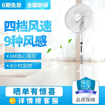 永生（eosin） FS35-19FR 電風(fēng)扇