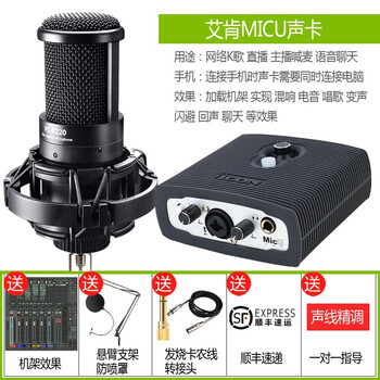 得勝（TAKSTAR）  懸掛式 麥克風(fēng) 配艾肯MICU聲卡套餐