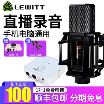 萊維特（LEWITT）  懸掛式 麥克風(fēng) 網(wǎng)絡(luò)直播-艾肯4NANO套裝