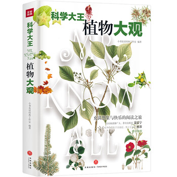 大王