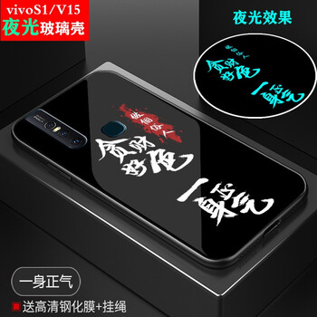 摩沃（MOWOLL） vivoS1 手機殼/保護套
