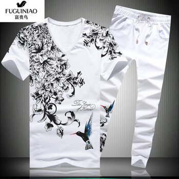 富貴鳥(niǎo)（FUGUNIAO） 短袖 男士T恤 CT02--1白色 