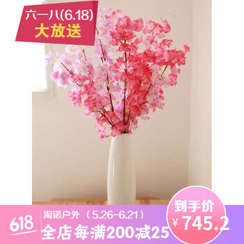 簡(jiǎn)約玻璃花瓶，讓你的生活更精致