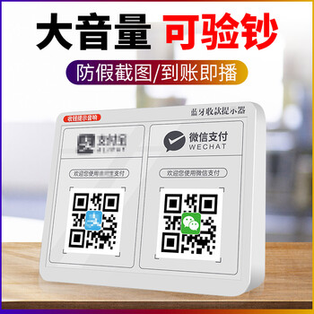 慧多多（HUIDUODUO）  音箱/音響 高配版【語音及時播報 大音量】陶瓷白