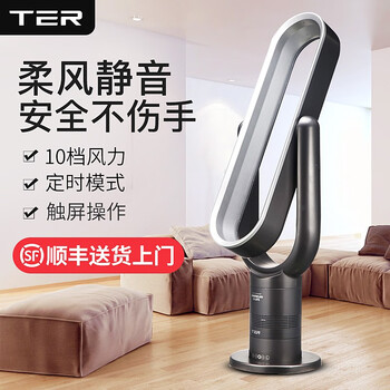 TER T-DFS18 電風(fēng)扇