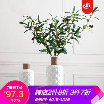 田園風(fēng)花瓶，讓你的家愛(ài)上生活