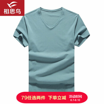 相思鳥(niǎo)（xiangsiniao） 短袖 男士T恤 B3湖藍(lán) 