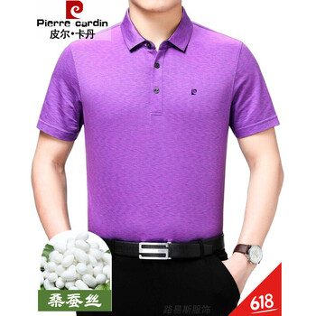 皮爾卡丹（pierrecardin） 短袖 男士T恤 56-02H591紫紅 