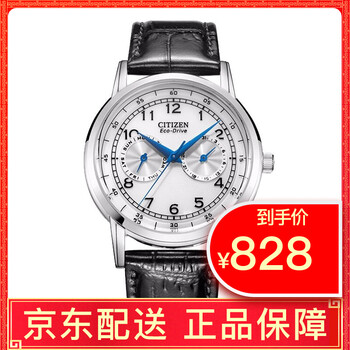 西鐵城ao9000