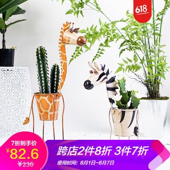 女生喜愛的精致花瓶，提升幸福感