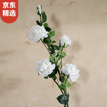 高顏值花瓶，讓你的生活更浪漫