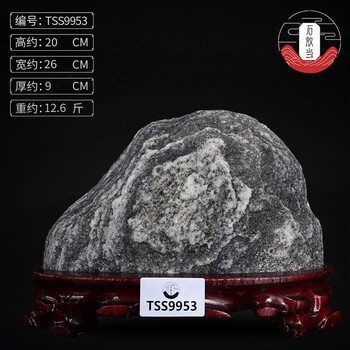 創(chuàng)意環(huán)保擺件，提升客廳藝術(shù)感