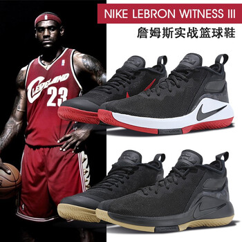 NIKE籃球鞋908974-600 41