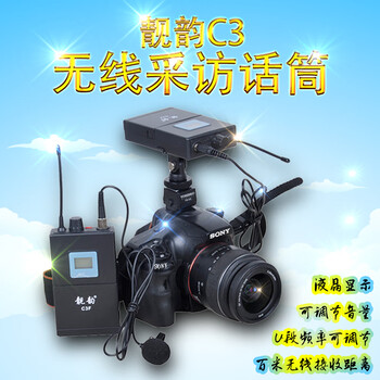 靚韻  手持 麥克風(fēng) 黑色