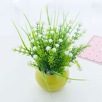 蘭花玻璃盆
