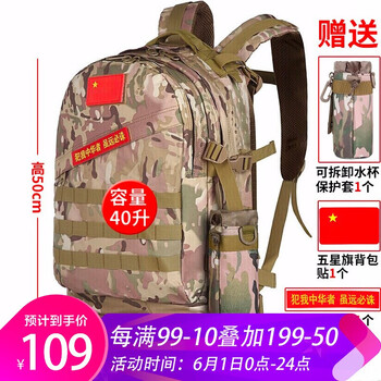 叢林,怎么樣,叢林,迷彩,迷彩