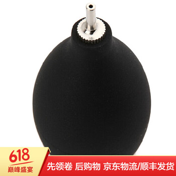 麥克風(fēng)，讓你在家也能嗨翻全場