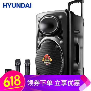 現(xiàn)代（HYUNDAI）  音箱/音響 VM15+2個麥克風