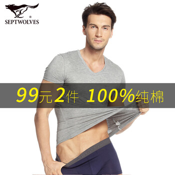 七匹狼（SEPTWOLVES） 短袖 男士T恤 休閑灰 