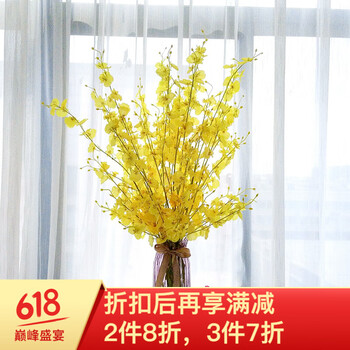 精致玻璃花瓶，讓生活不再單調(diào)！